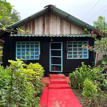 Appartamento Flor De La Selva Puerto Nariño Esterno foto