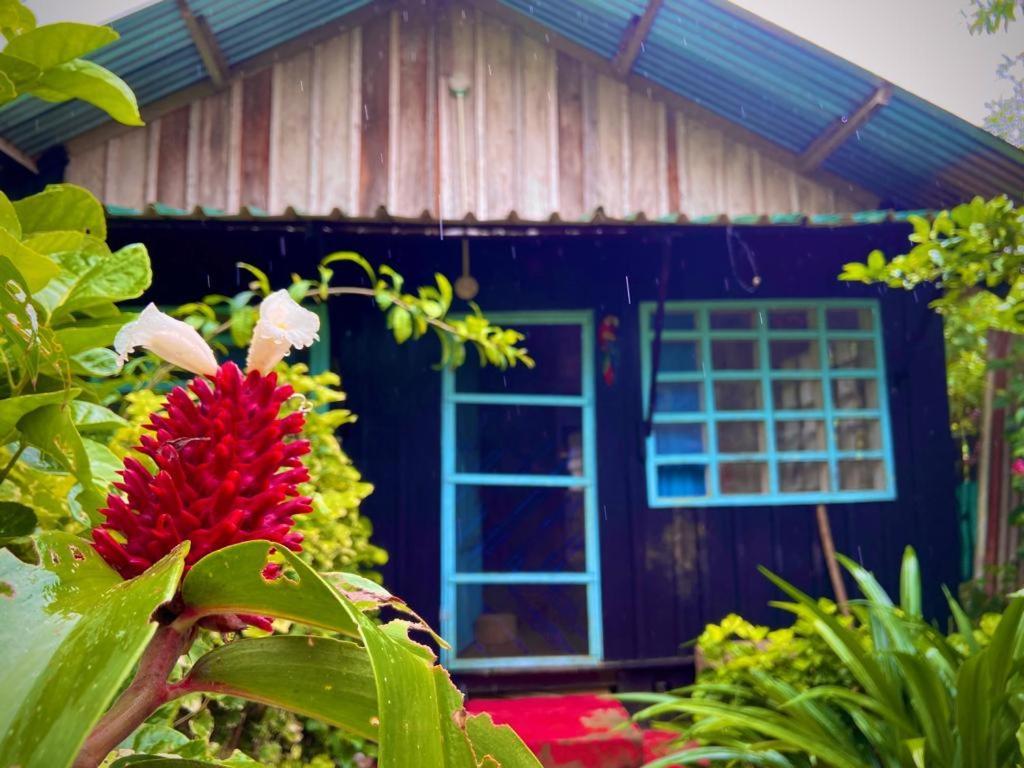 Appartamento Flor De La Selva Puerto Nariño Esterno foto