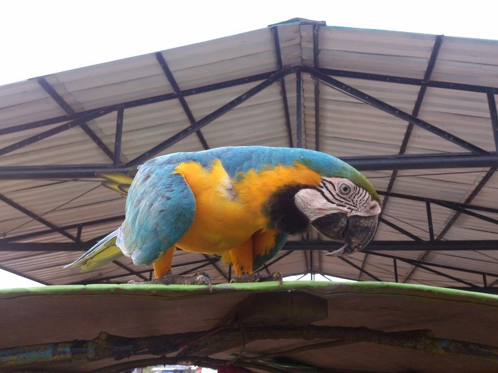 Appartamento Flor De La Selva Puerto Nariño Esterno foto